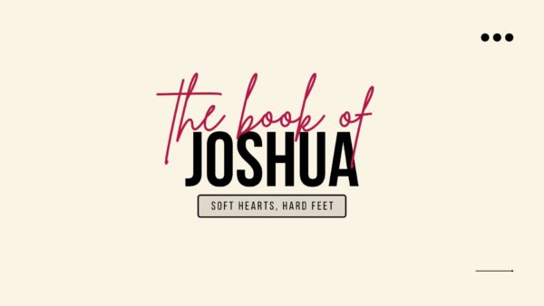 Soft Hearts, Hard Feet - Joshua